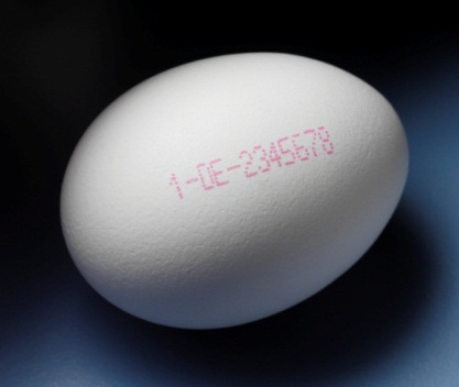 雞蛋噴碼的二大好處您知道嗎?