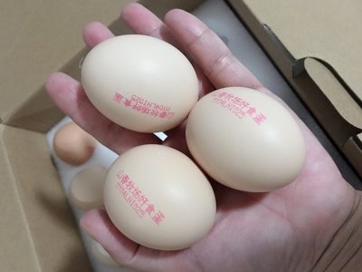 瀏覽全球網絡，您還能找到比這個更全面的雞蛋噴碼機解決方案嗎？