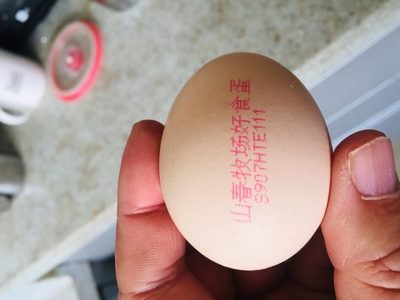 瀏覽全球網絡，您還能找到比這個更全面的雞蛋噴碼機解決方案嗎？